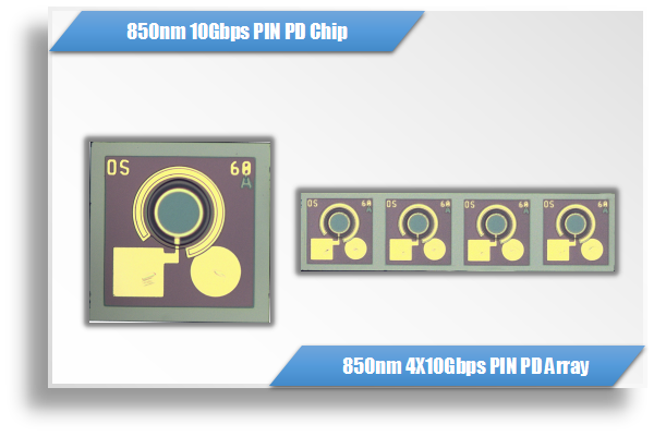 850nm 10Gbps / 40Gbps GaAs PIN PD Chip & Array